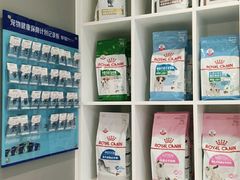 -关爱宠物医院·猫科中心·消化科(滨湖万达分院)