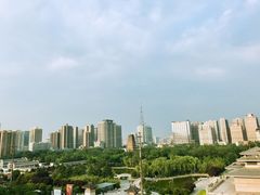 -真爱中国餐馆·年华店(朱雀大街店)