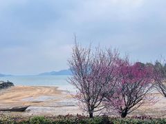 -余姚四明湖开元名都度假酒店·夏威夷西餐厅