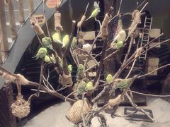 -太阳岛度假酒店