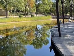 -武清南湖绿博园