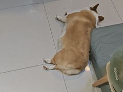 -平行世界·猫咖(首经贸店)