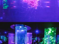 -南昌海洋公园