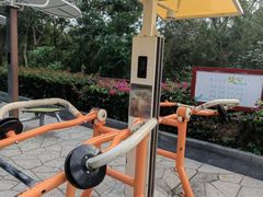 -金鸡岭桥头公园