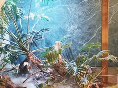 -宴周康·精致江浙菜(周浦店)