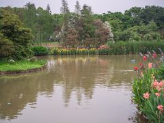 -海珠湖公园