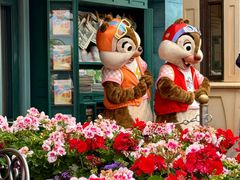 -上海迪士尼度假区