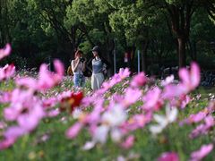 -华东政法大学(松江校区)