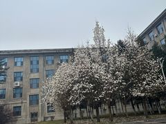 -宁恩承图书馆
