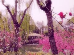 -圩墩遗址公园