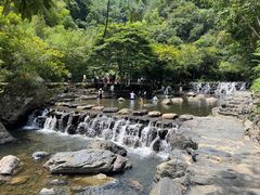 -石台牯牛降景区