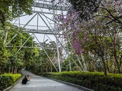 -小南山公园