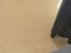 -哈尔滨太平国际机场-T2航站楼