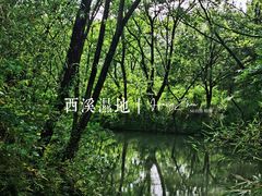 -西溪国家湿地公园