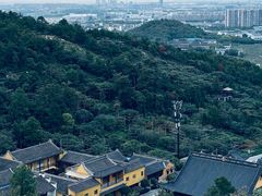 -树山生态村