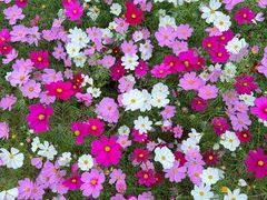 -仙海旅游度假区