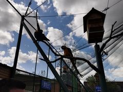 -西霞口神雕山野生动物世界