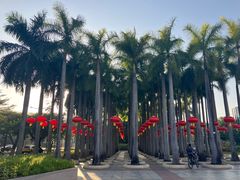 -深圳国际园林花卉博览园