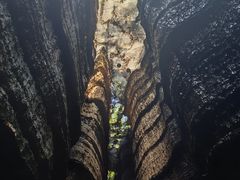 -梭布垭石林景区