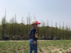 -上海浦江郊野公园-5号停车场