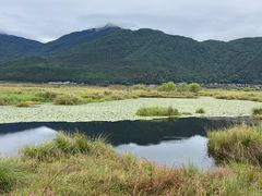 -腾冲北海湿地
