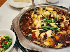 -乡土特色.冷锅鱼.牦牛肉火锅
