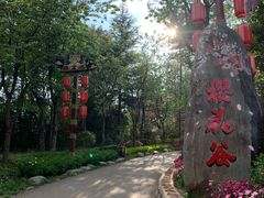 -丽江千古情