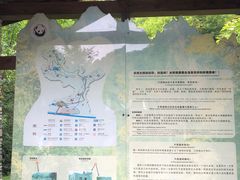 -都江堰中华大熊猫苑