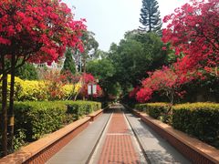 景点-铁路文化公园