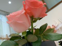 -森野花艺培训·企业团建活动沙龙