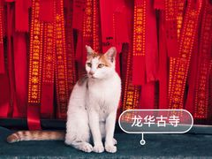-龙华寺