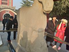 -茂陵博物馆