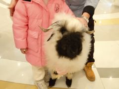 -凯德广场(西城店)
