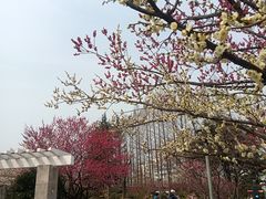 -西湖天地