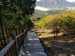 -北京十三陵国家森林公园蟒山景区