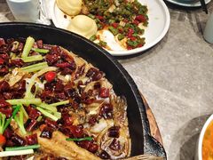 -老板恋上鱼(恒隆广场店)