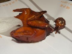 -鸽子侯·家宴·平价海鲜(市图书馆店)