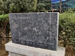 -关林