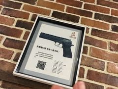 -真枪会射击俱乐部(河西中央公园店)