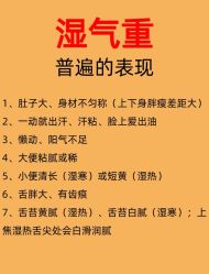 -Fundi张玉珊修身堂·indiba·BTL科技瘦身