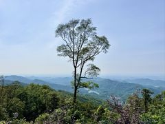 -广州市帽峰山景区