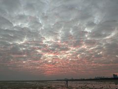 -北海金海湾红树林生态旅游区