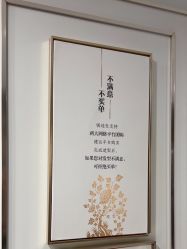 -镁连社·美联社
