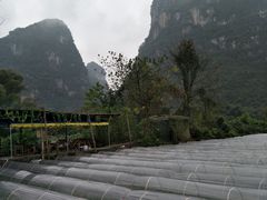 -生态苑农庄(十里画廊遇龙河店)