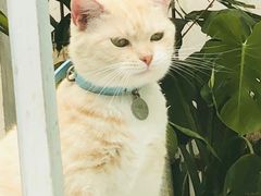 -小时光咖啡馆(北锣鼓巷店)