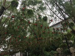 -文瀛公园