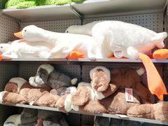 -潮品挚尚(五角场苏宁易购店)