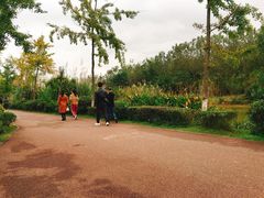 -白鹭湾湿地公园