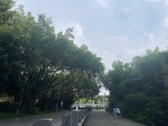 -深圳湾公园(南山区)