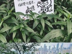 -大炮糯米凉虾(南坪后堡店)